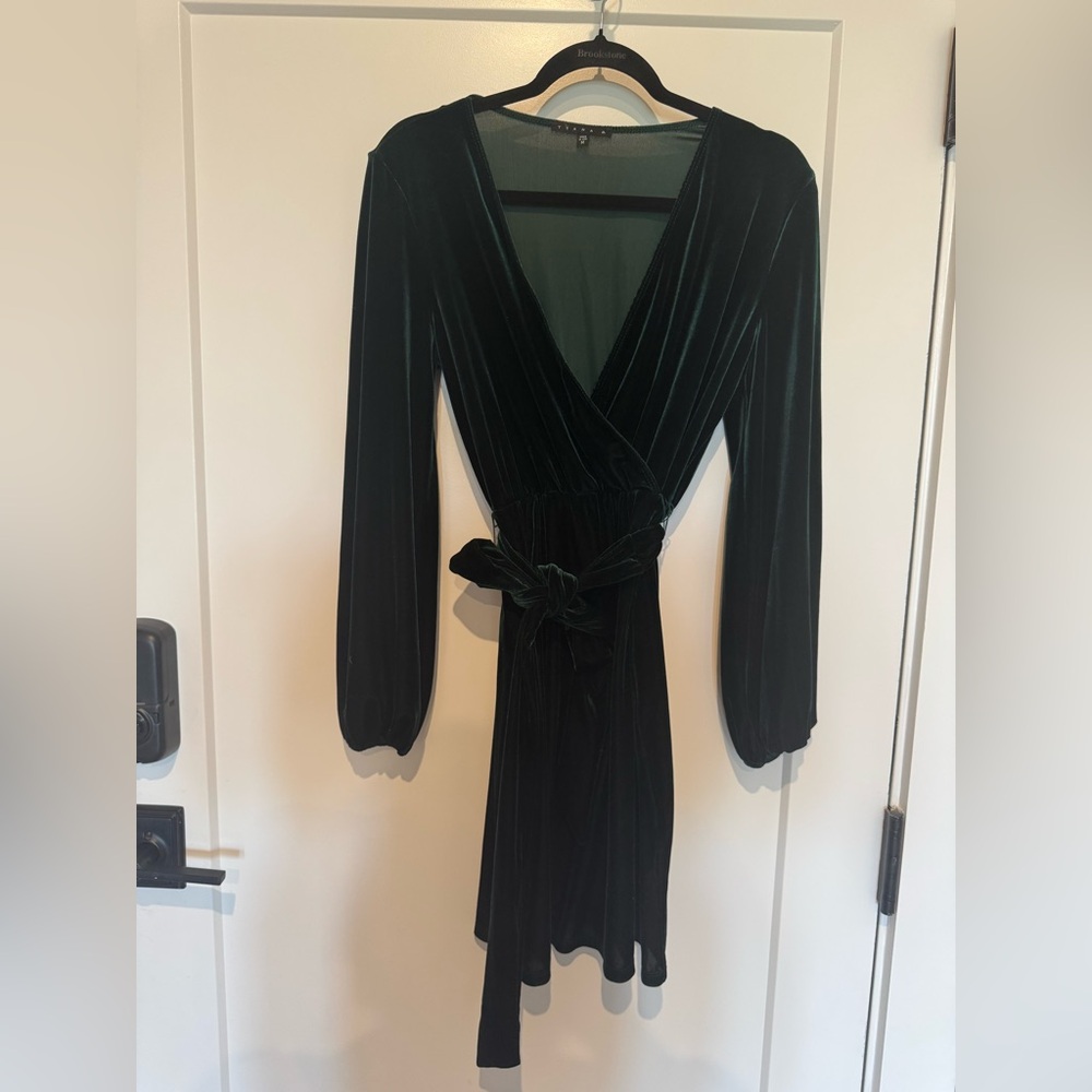 Tiana B. Velvet Long Sleeve Dress in Deep Green